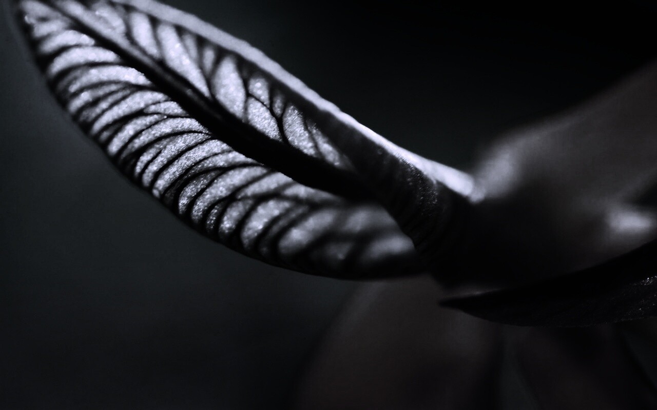 Сетчатый лист обои