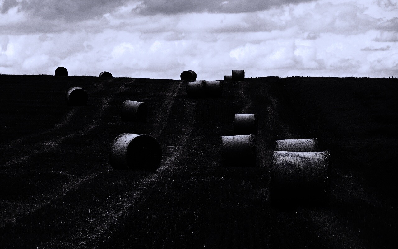 Уборка сена с поля обои