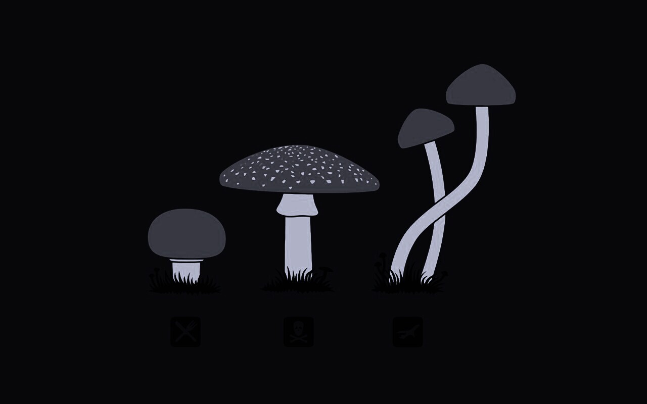 Грибочки обои