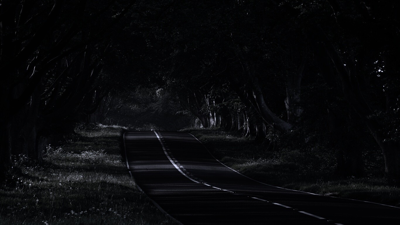 Трасса в тени деревьев обои