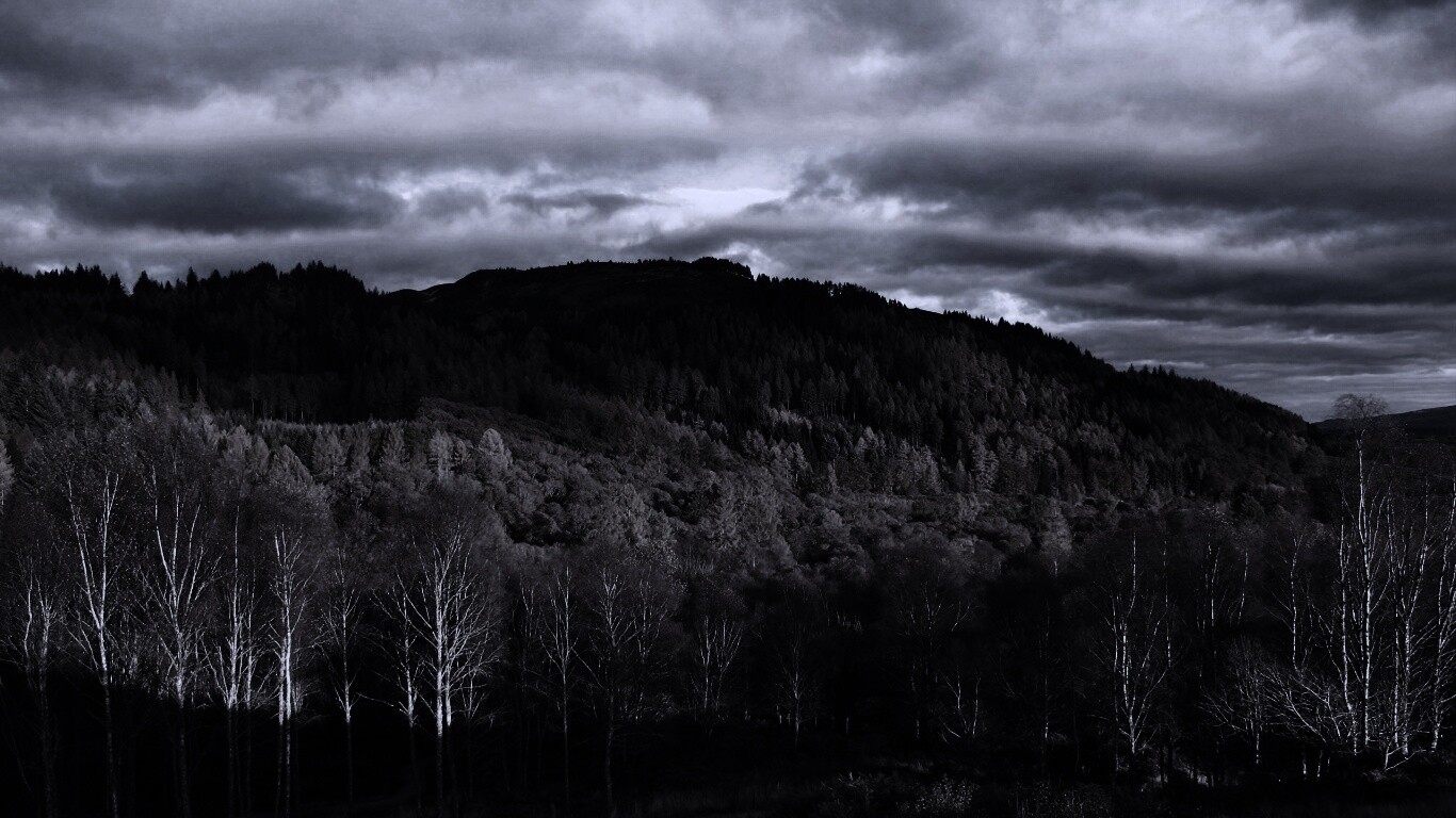 Золотая осень обои