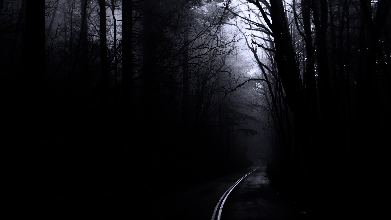 В туман обои