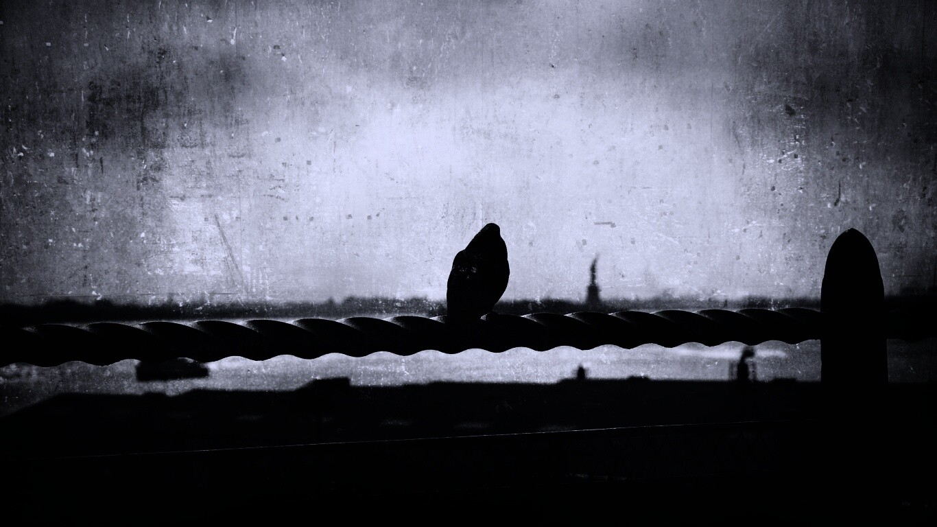 Голубь в Нью-Йоркских доках обои