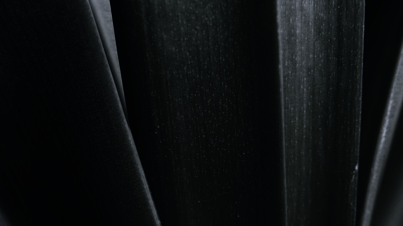 Сочная травинка обои