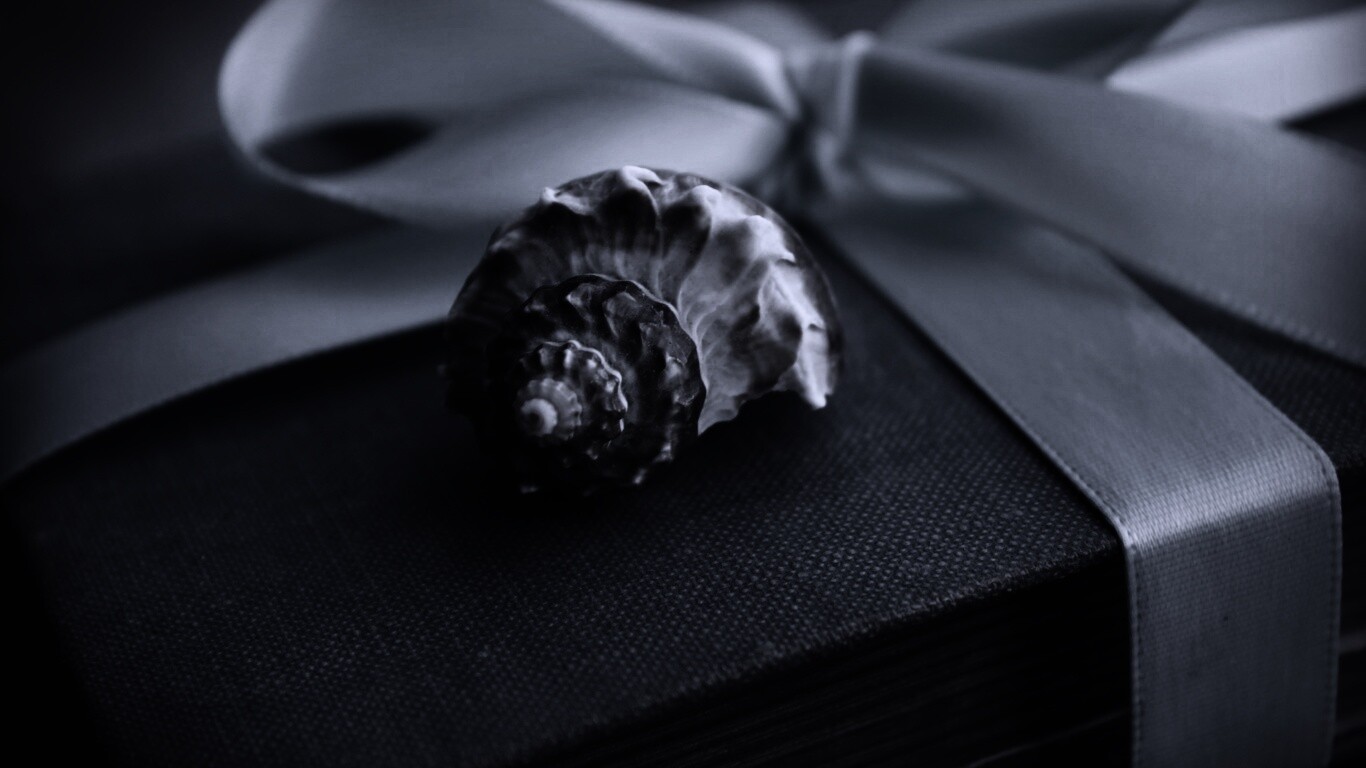 Ракушка на подарочном альбоме обои