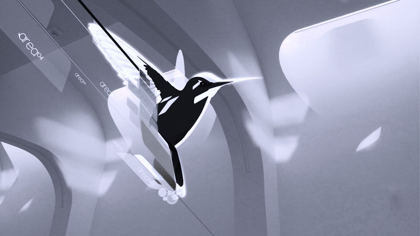 Логотип-колибри обои