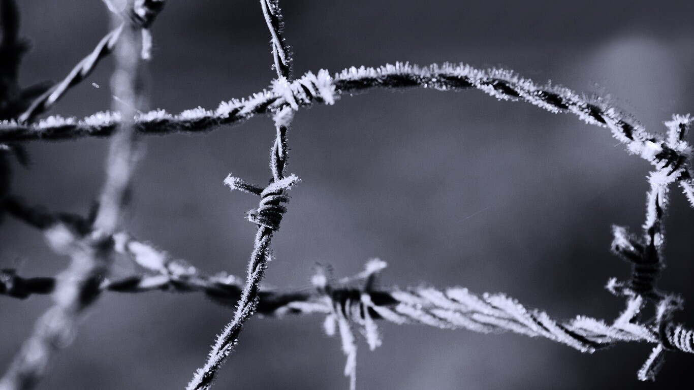 Замерзшая колючая проволока обои