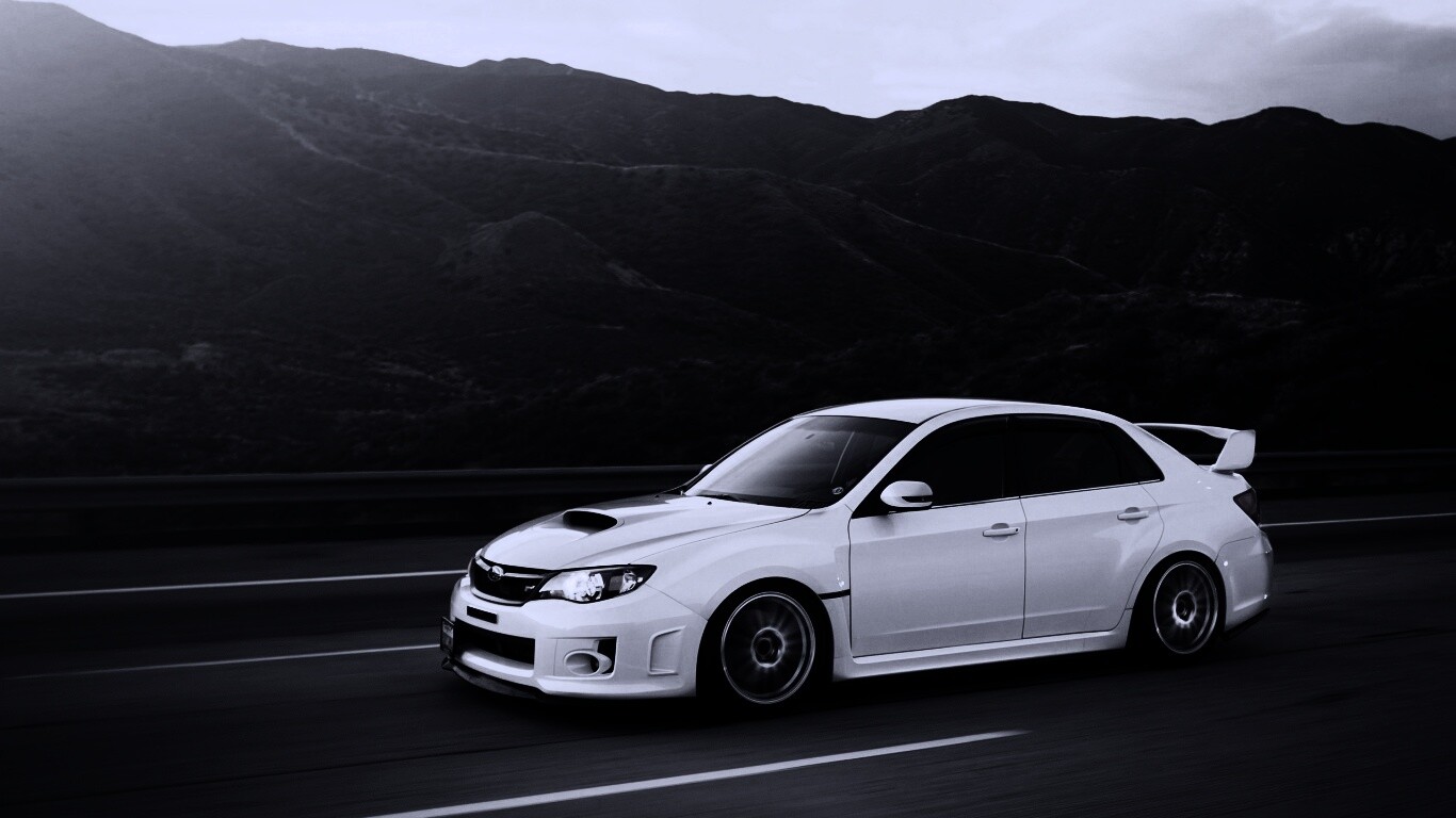 Белый субарь на тарссе обои