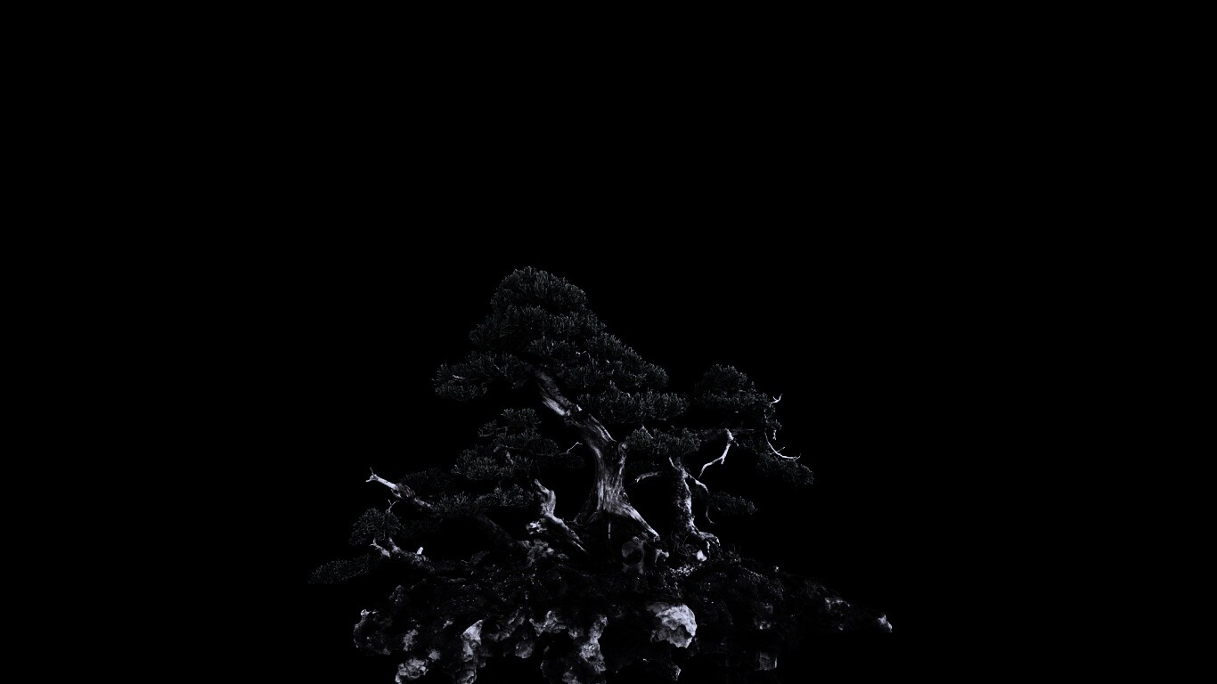 Миниатюрное дерево обои