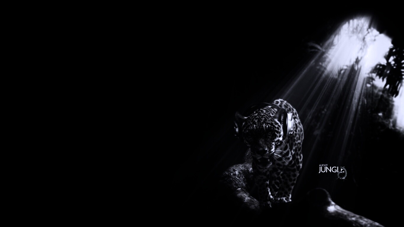 Ягуар в наушниках обои