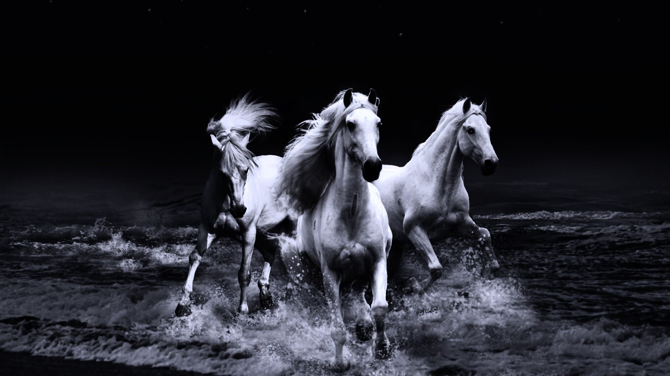 Тройка конец в море обои