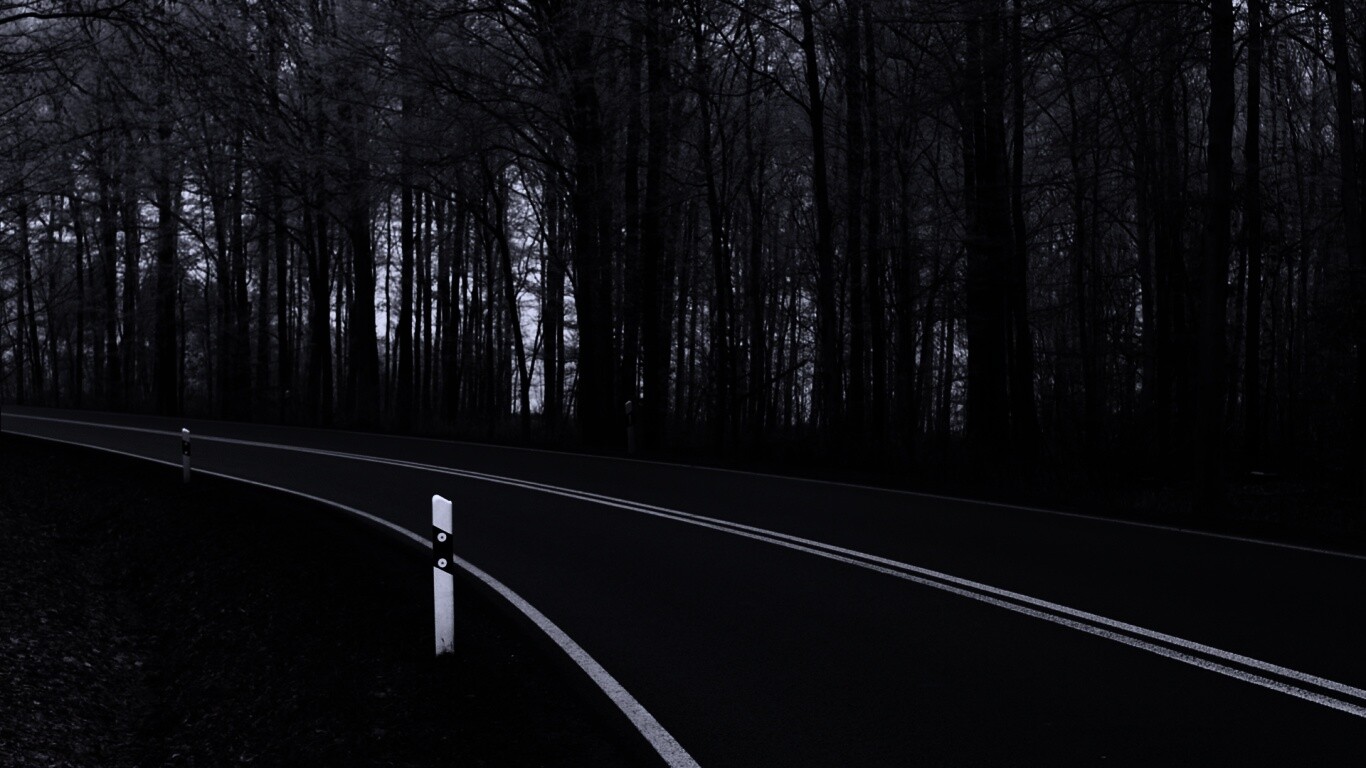 Дорога в осеннем лесу обои