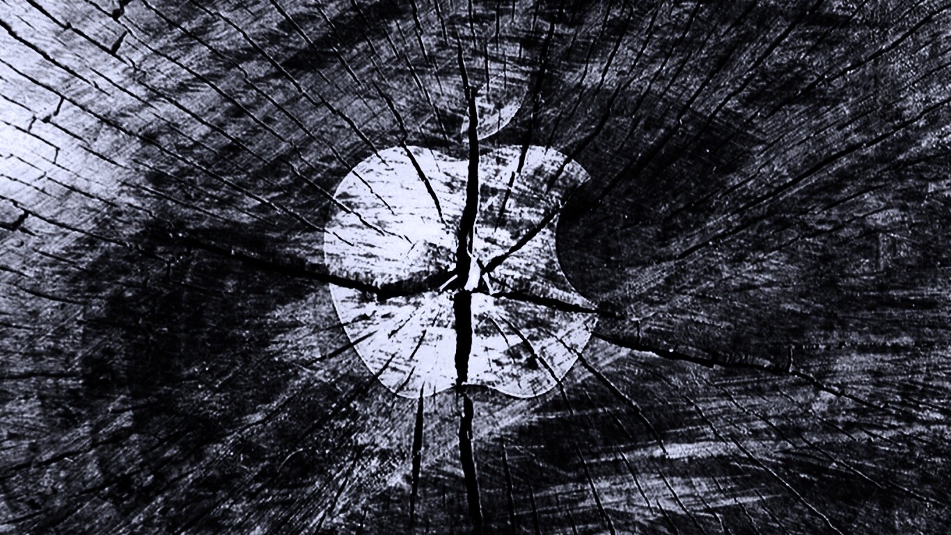 Логотип Apple на бревне обои