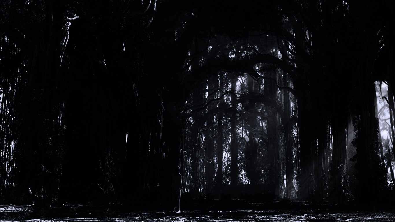 Одна в сумеречном лесу обои