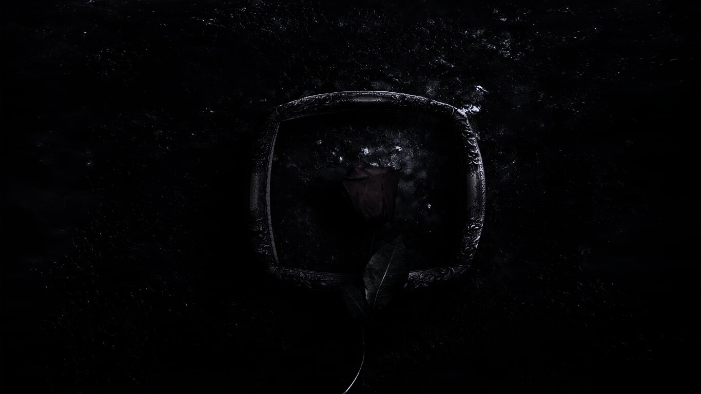 Роза на картинной раме обои