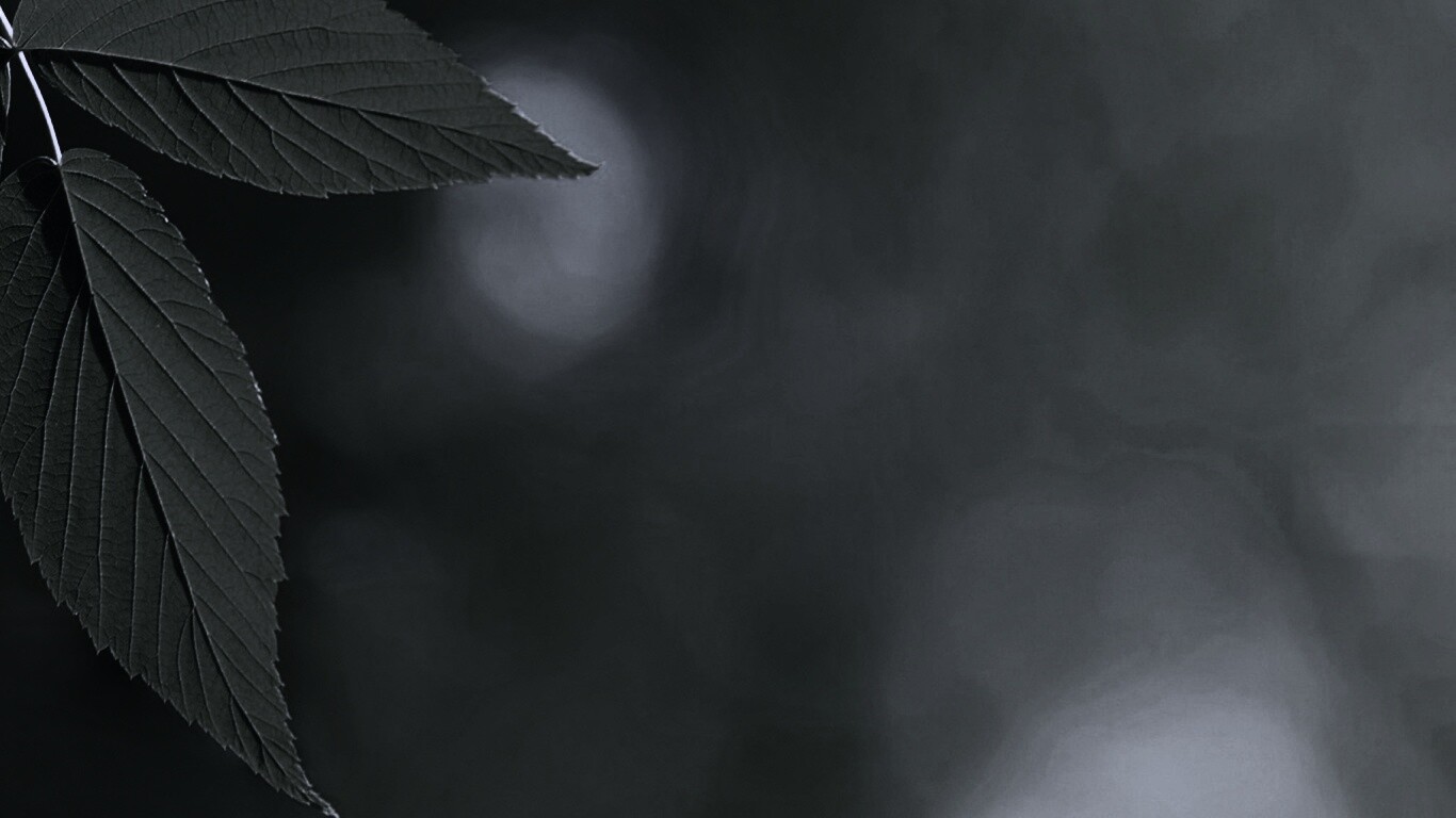 Два листа обои