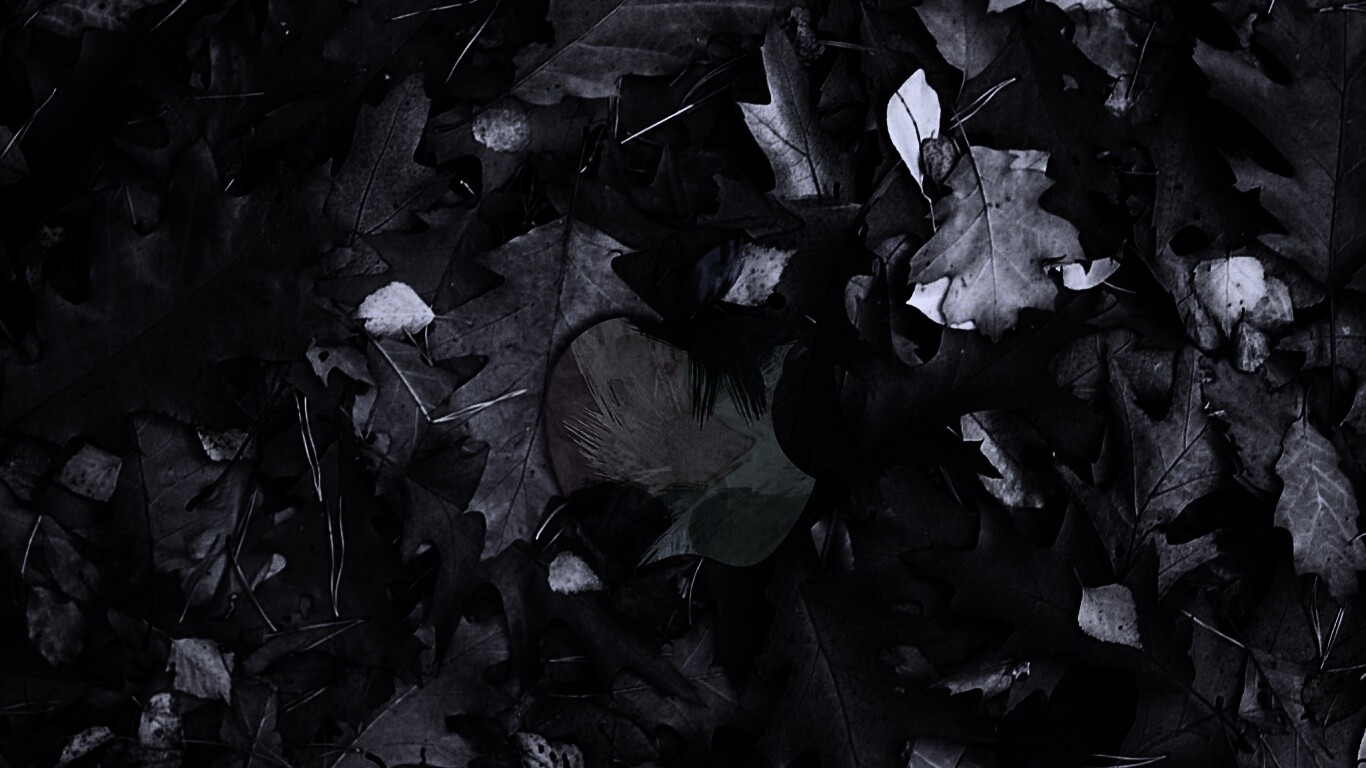 Эпл в сухой листве обои