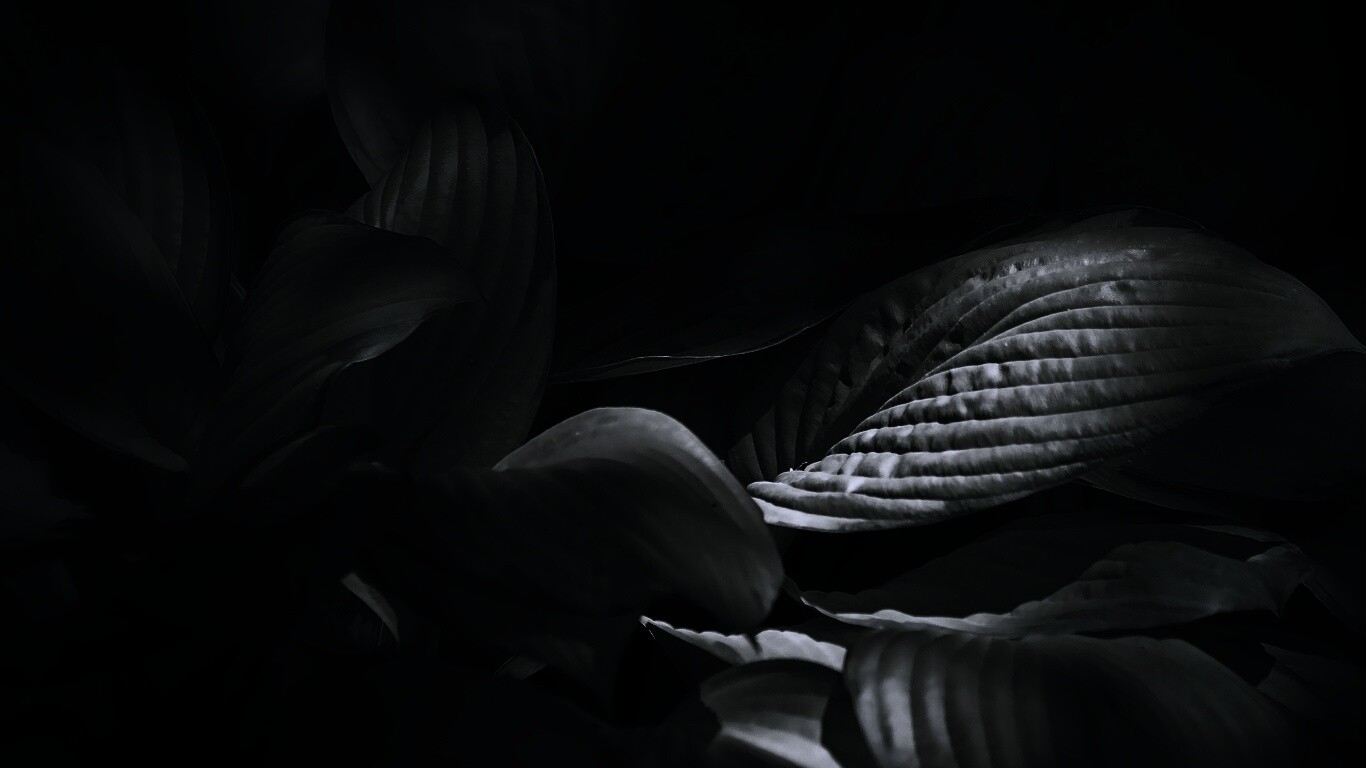 Хитросплетение зеленых листьев обои