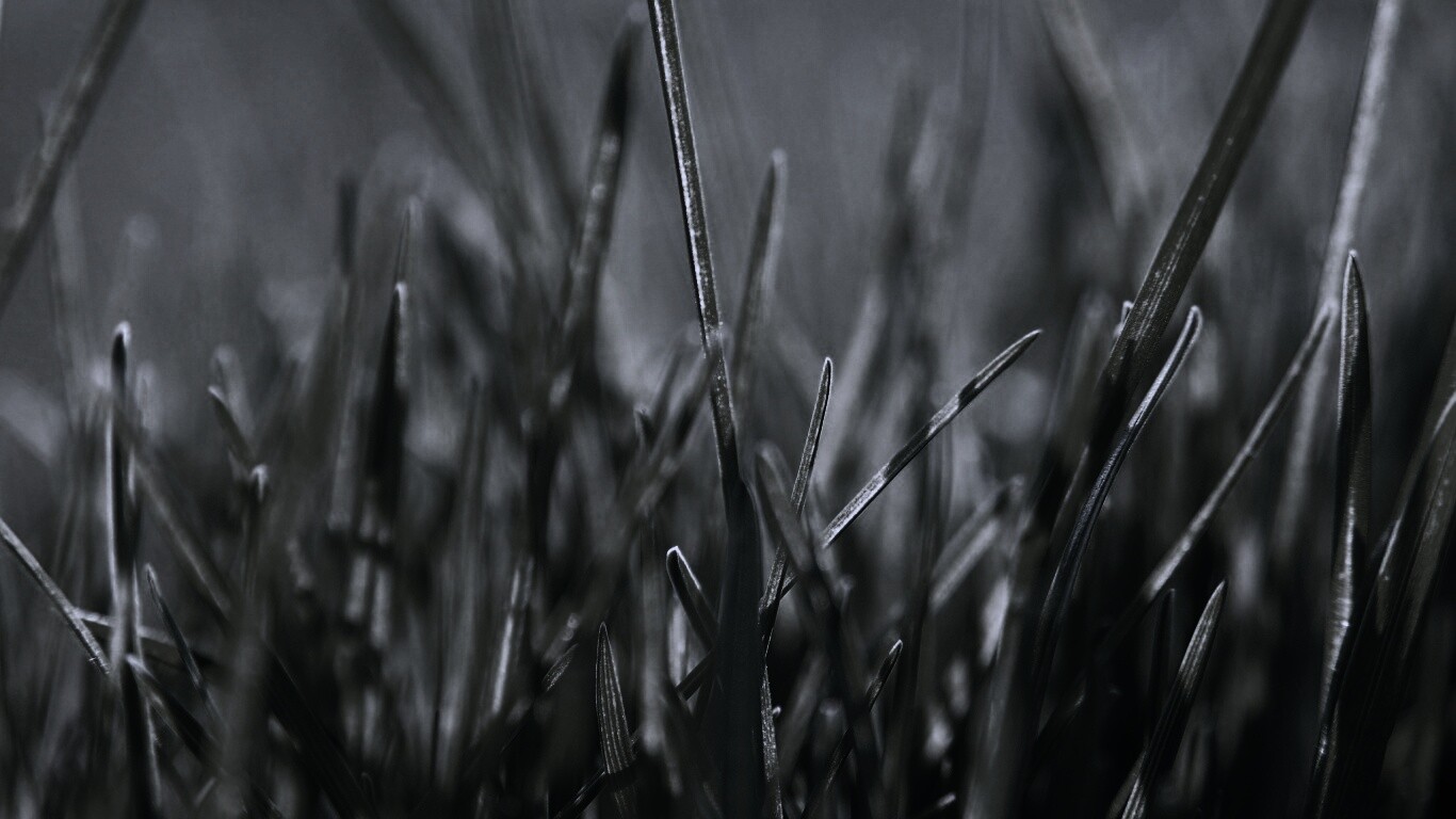 Ярко зеленая трава обои