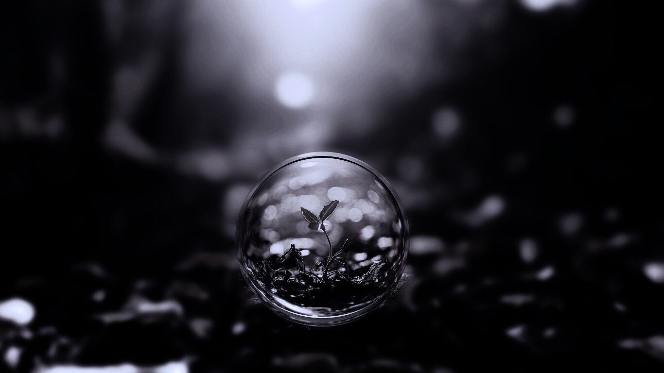 Росток в пузыре обои