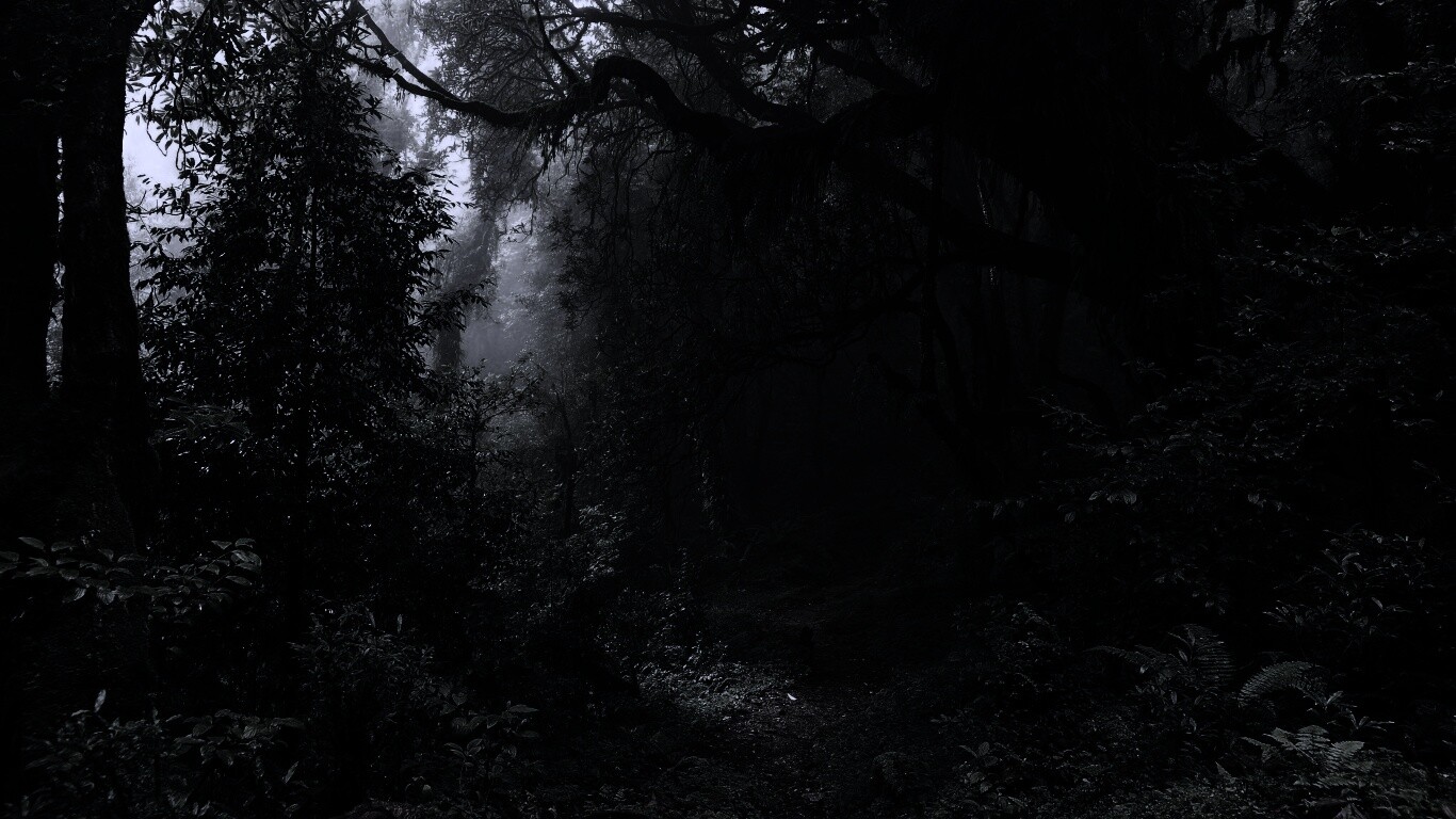 Зеленый лес обои