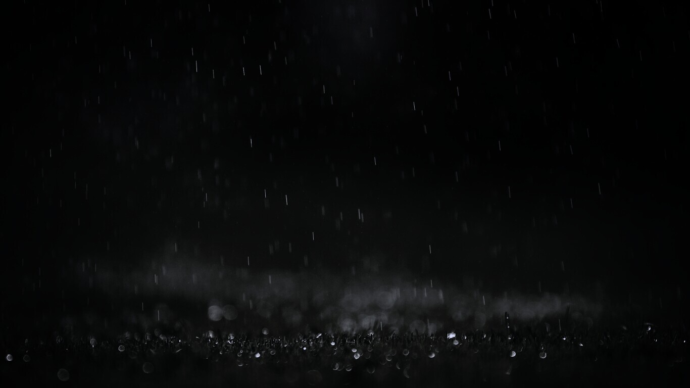 Трава под дождем обои