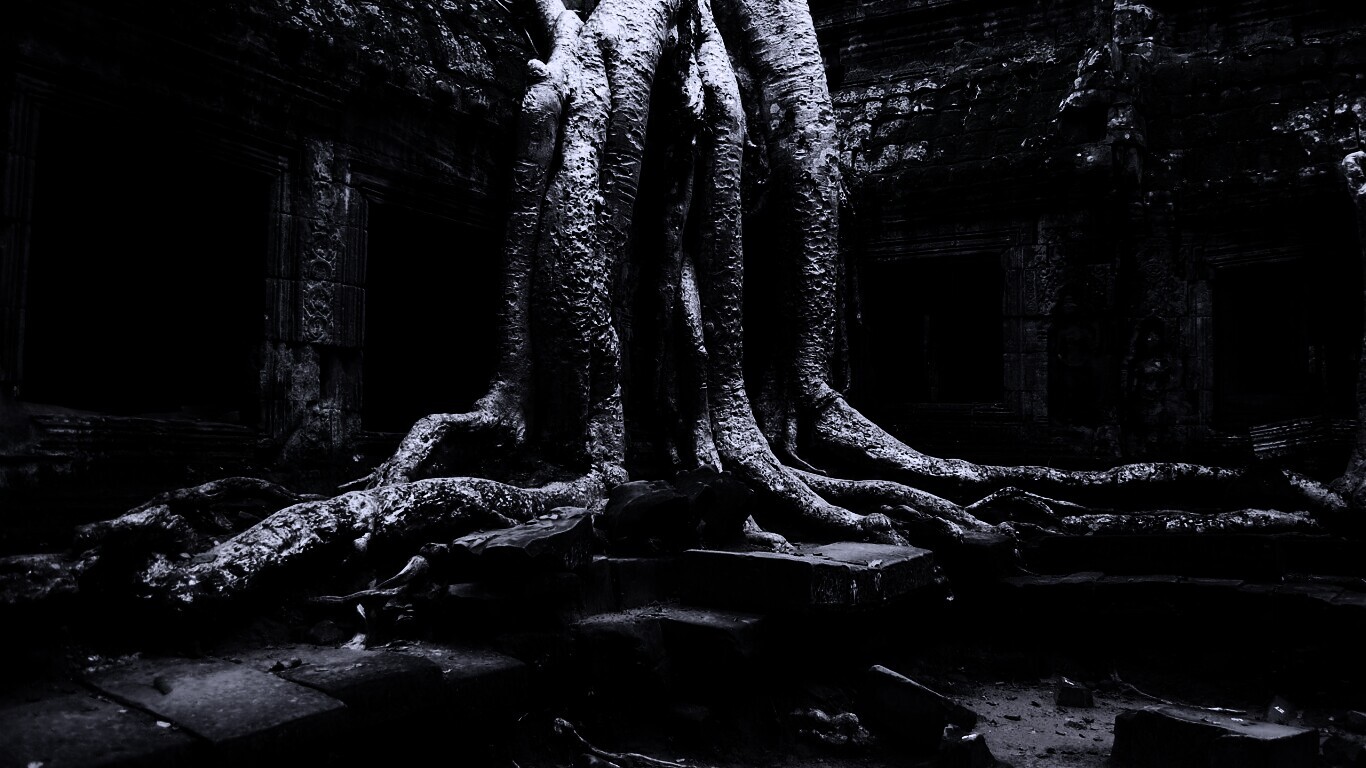 Мощные корни обои