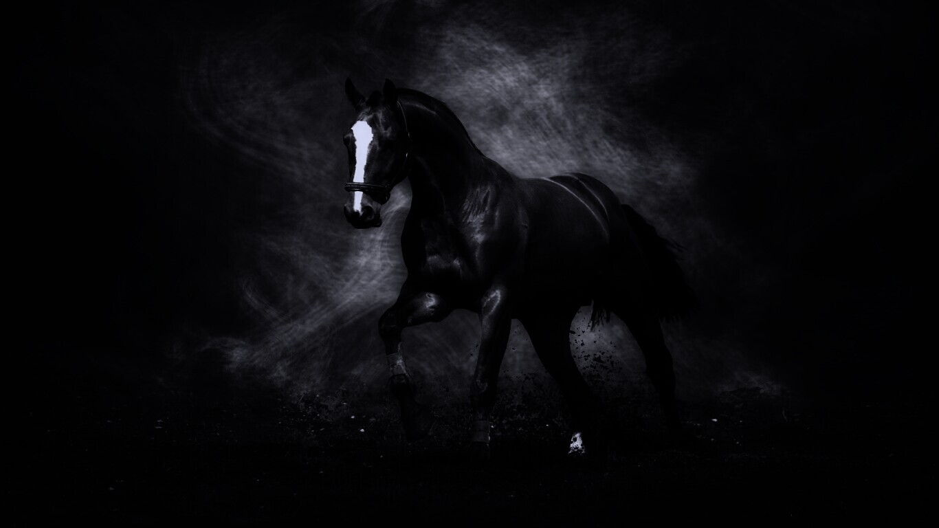 Лошадь обои