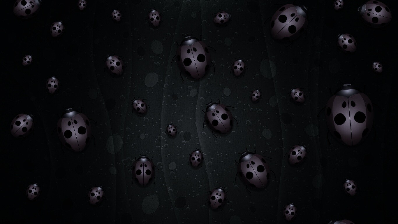 Божьи коровки обои