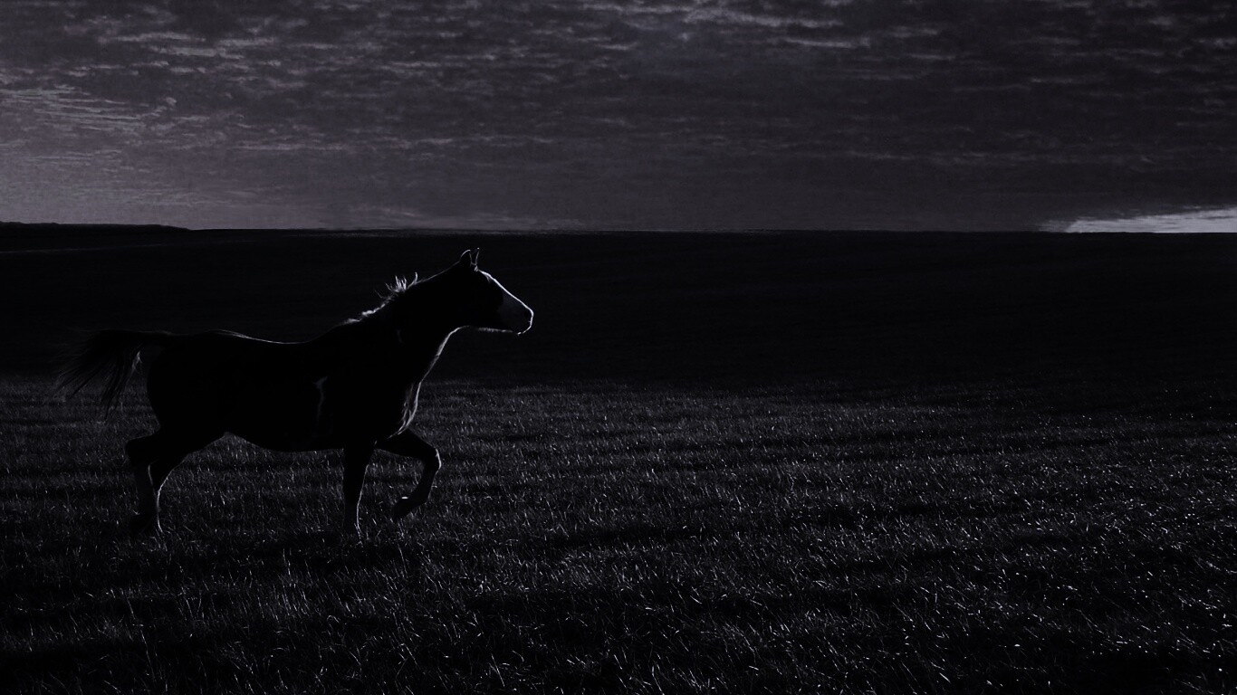 Мустанг обои