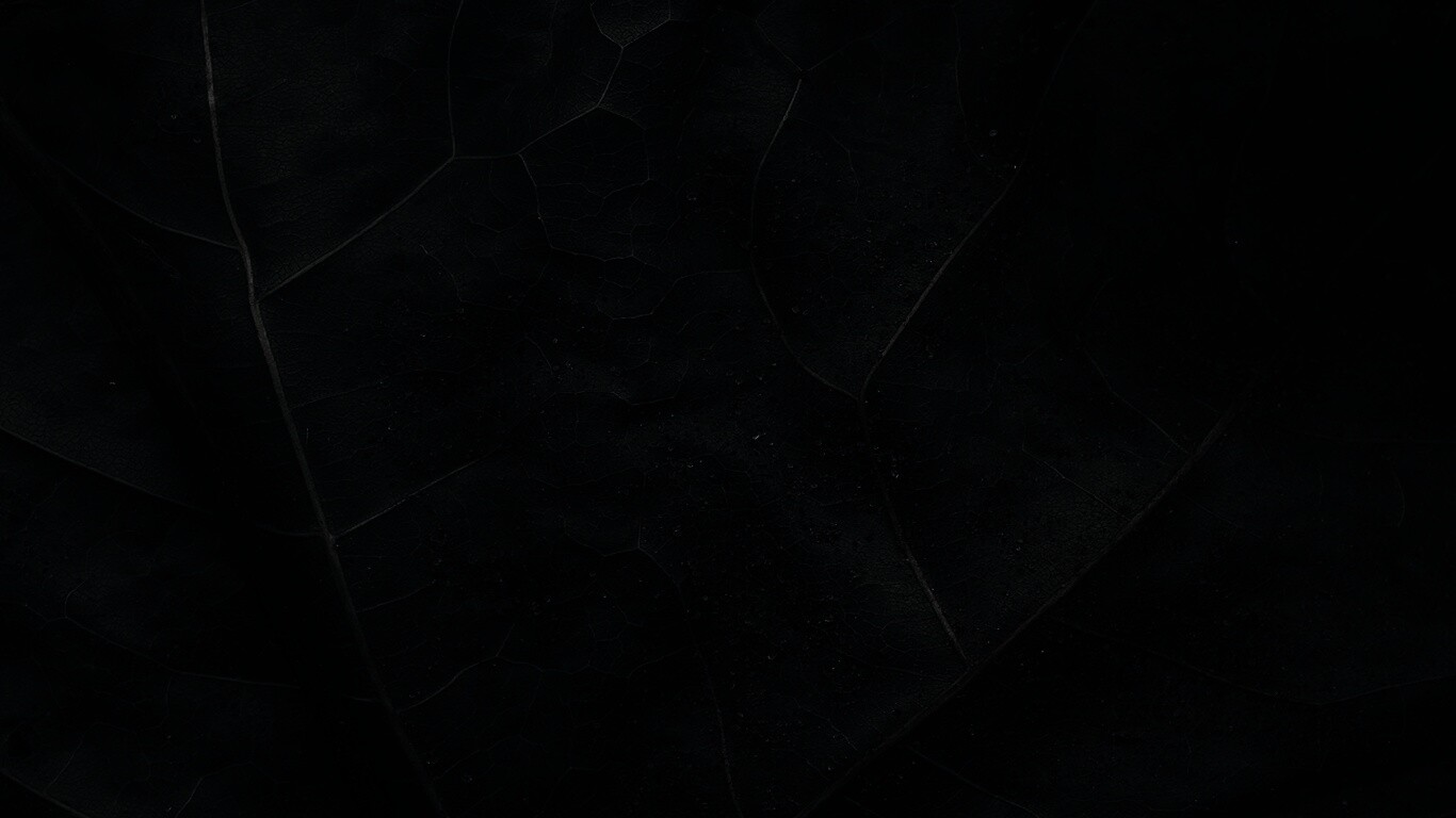 Макро зеленый лист обои