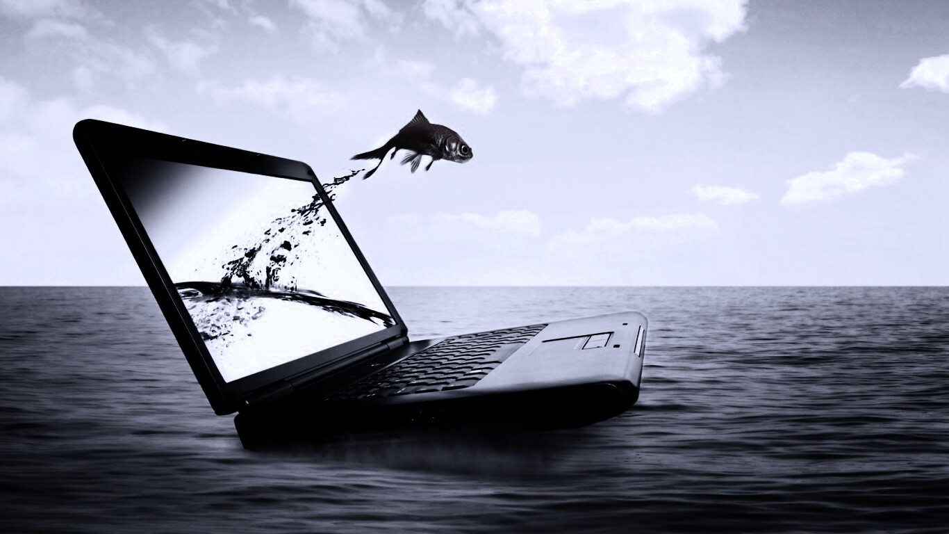 Золотая рыбка обои