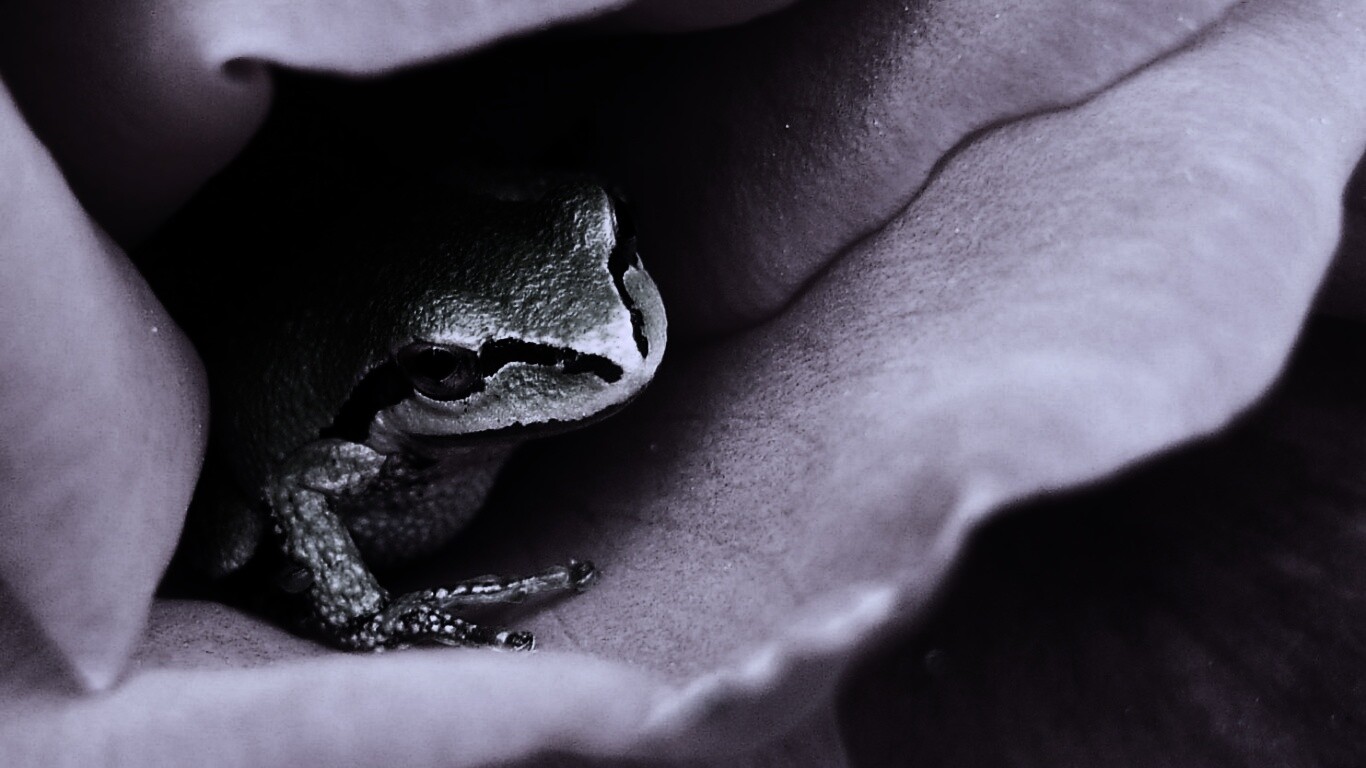 Куда это ты смотришь? обои