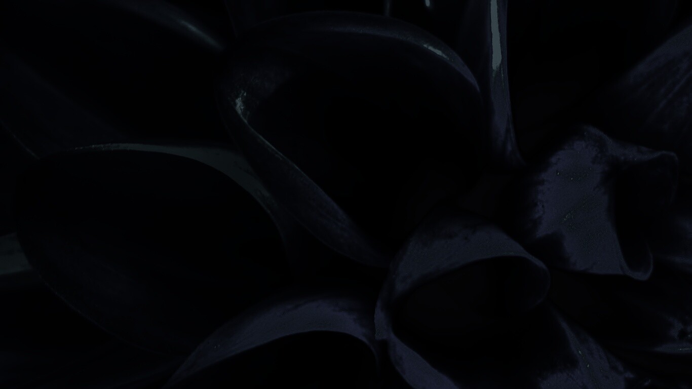 Лепестки обои