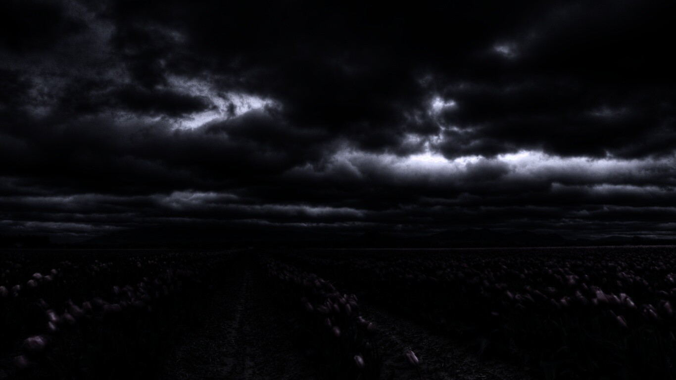 Цветочное поле под грозовым небом обои