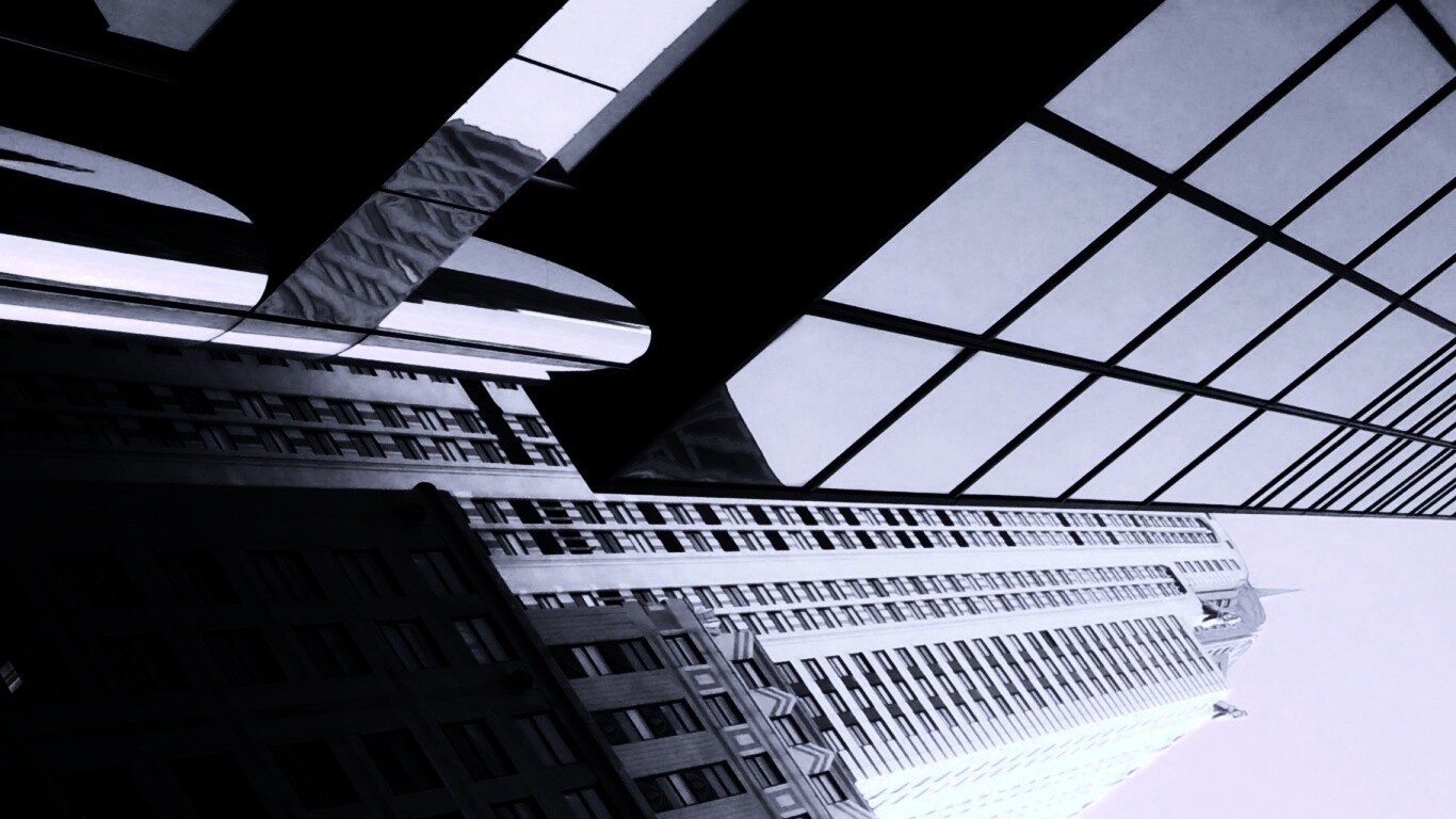 Взгляд вверх обои