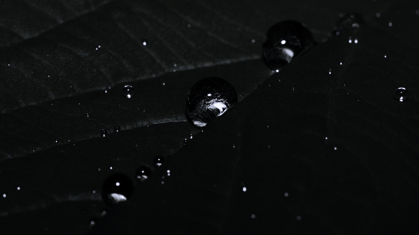 Капли на листе обои