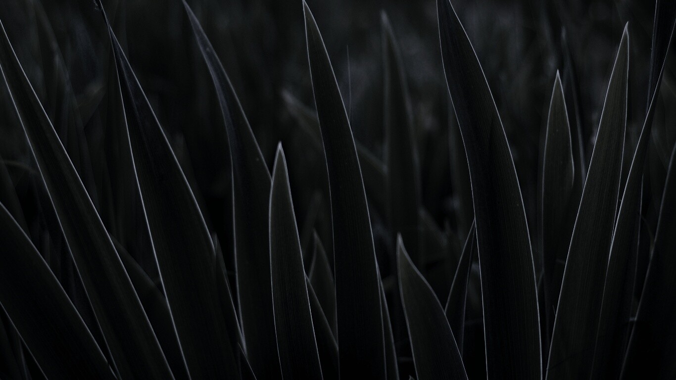 Идеальная зелень обои