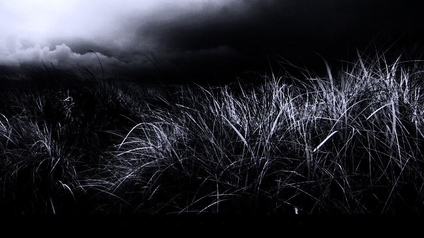 В ожидании шторма обои