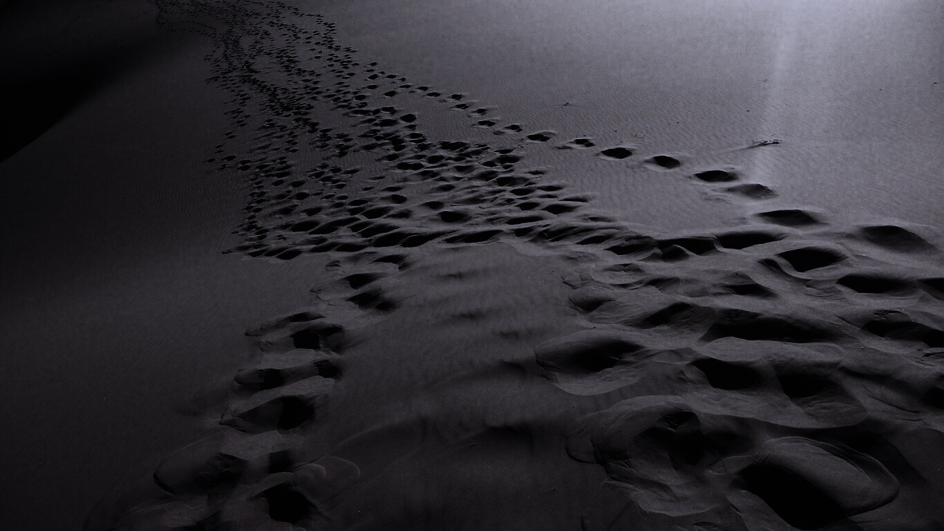 Следы в пустыне обои