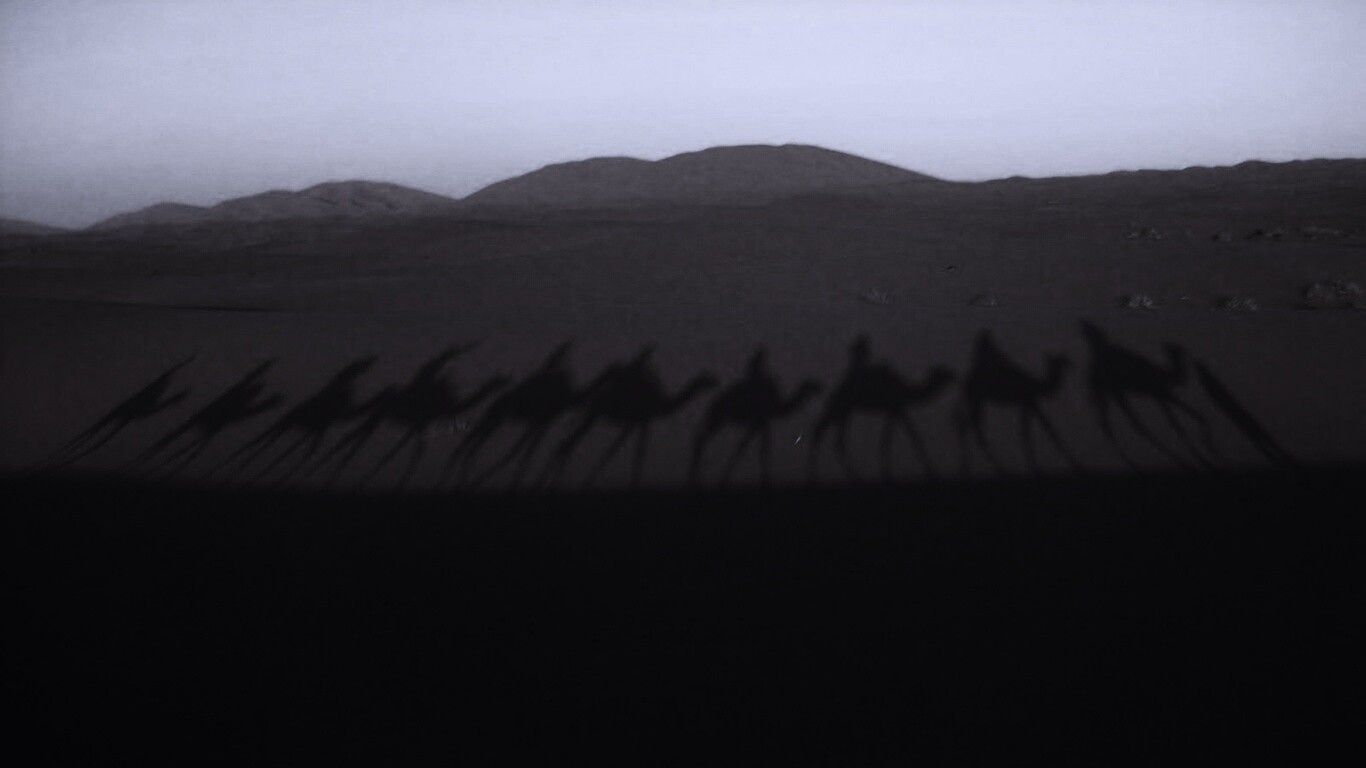 Караван обои