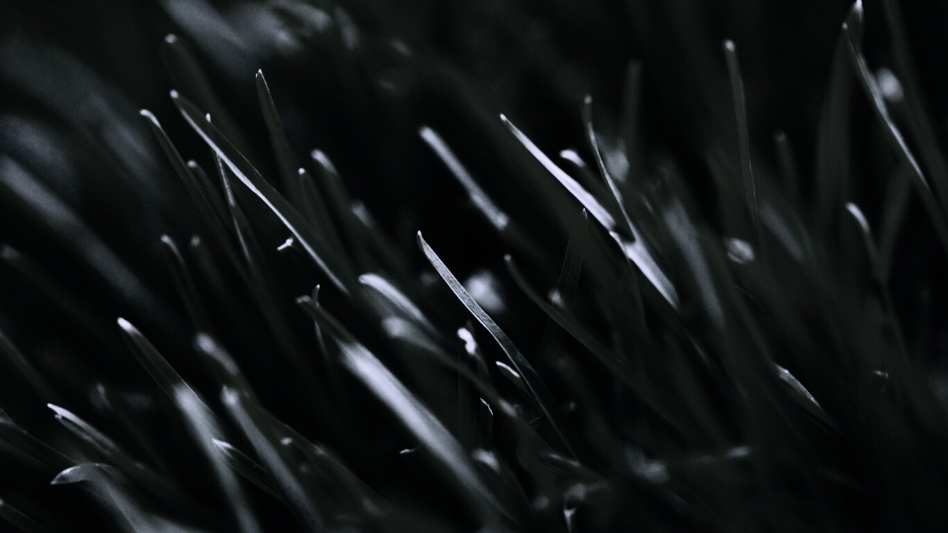 Зеленая свежая трава обои