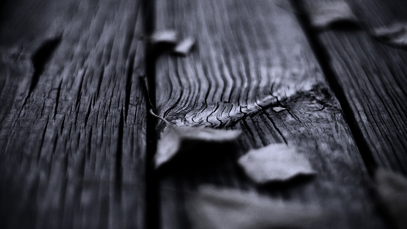 Листья на дощатом полу обои