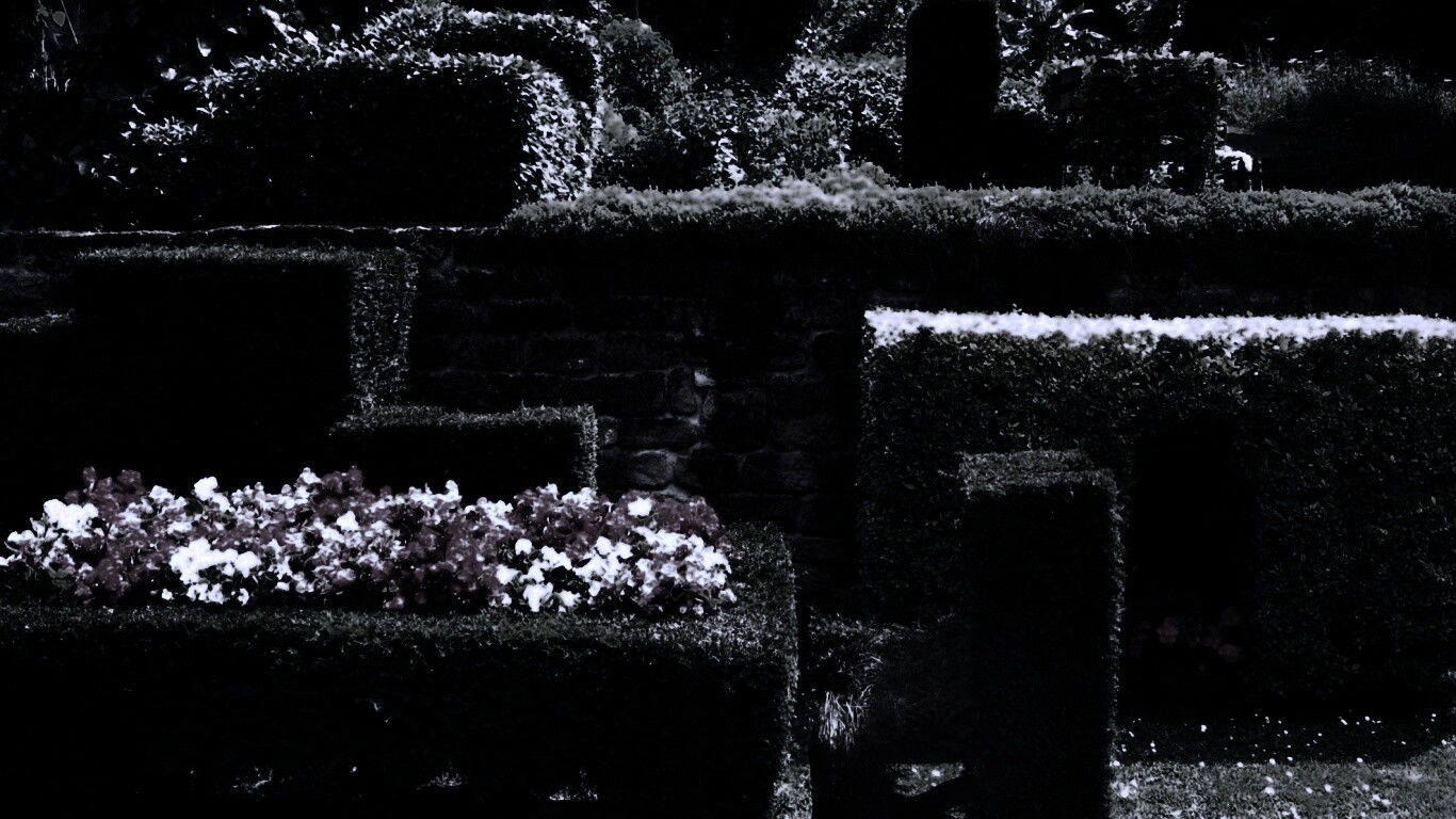 Декоративный сад обои