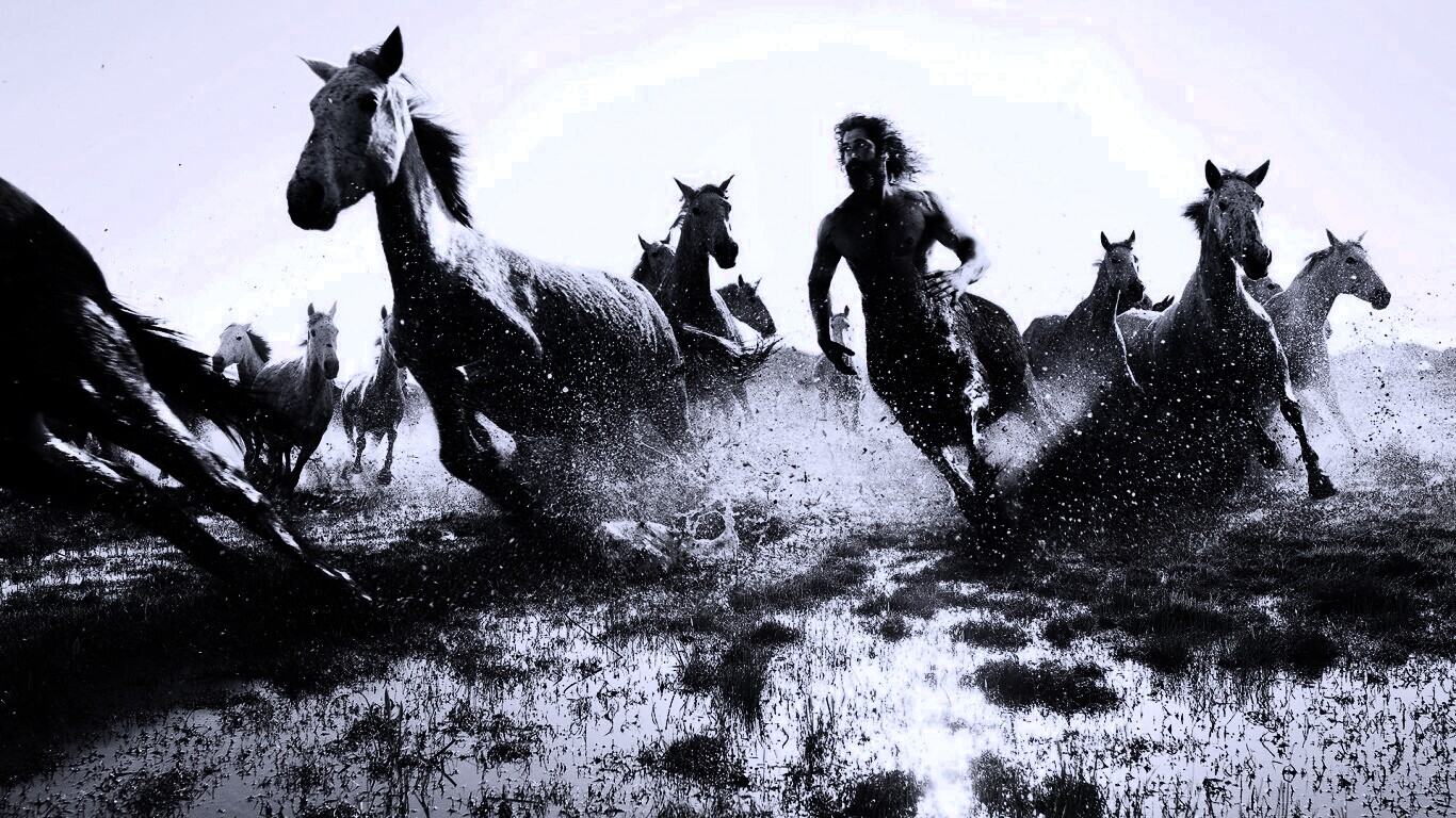 Кентавр обои