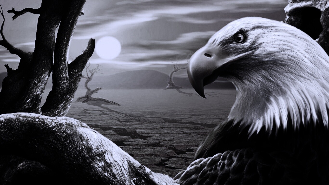 Нарисованный орел обои