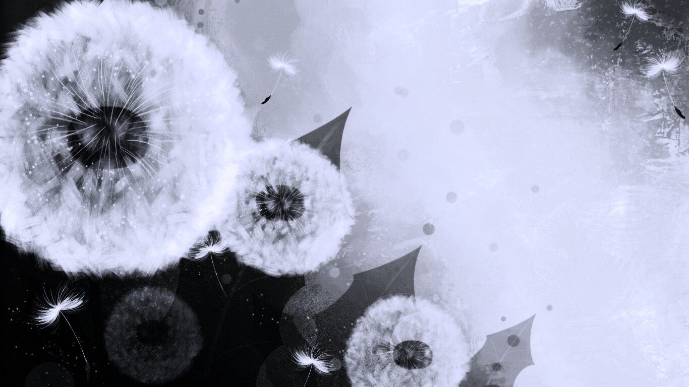 Одуванчики обои