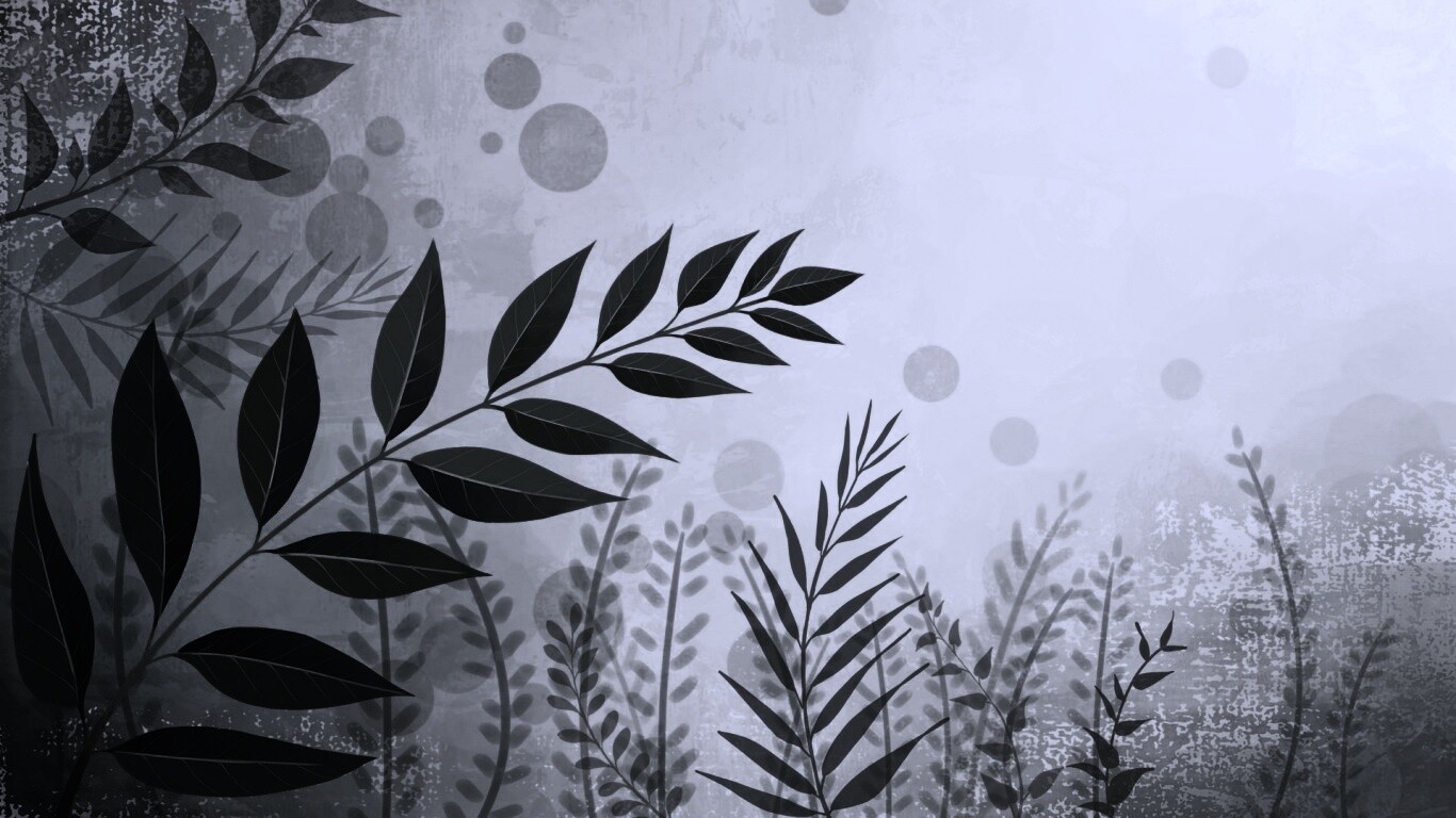 Веточка молодых листьев обои