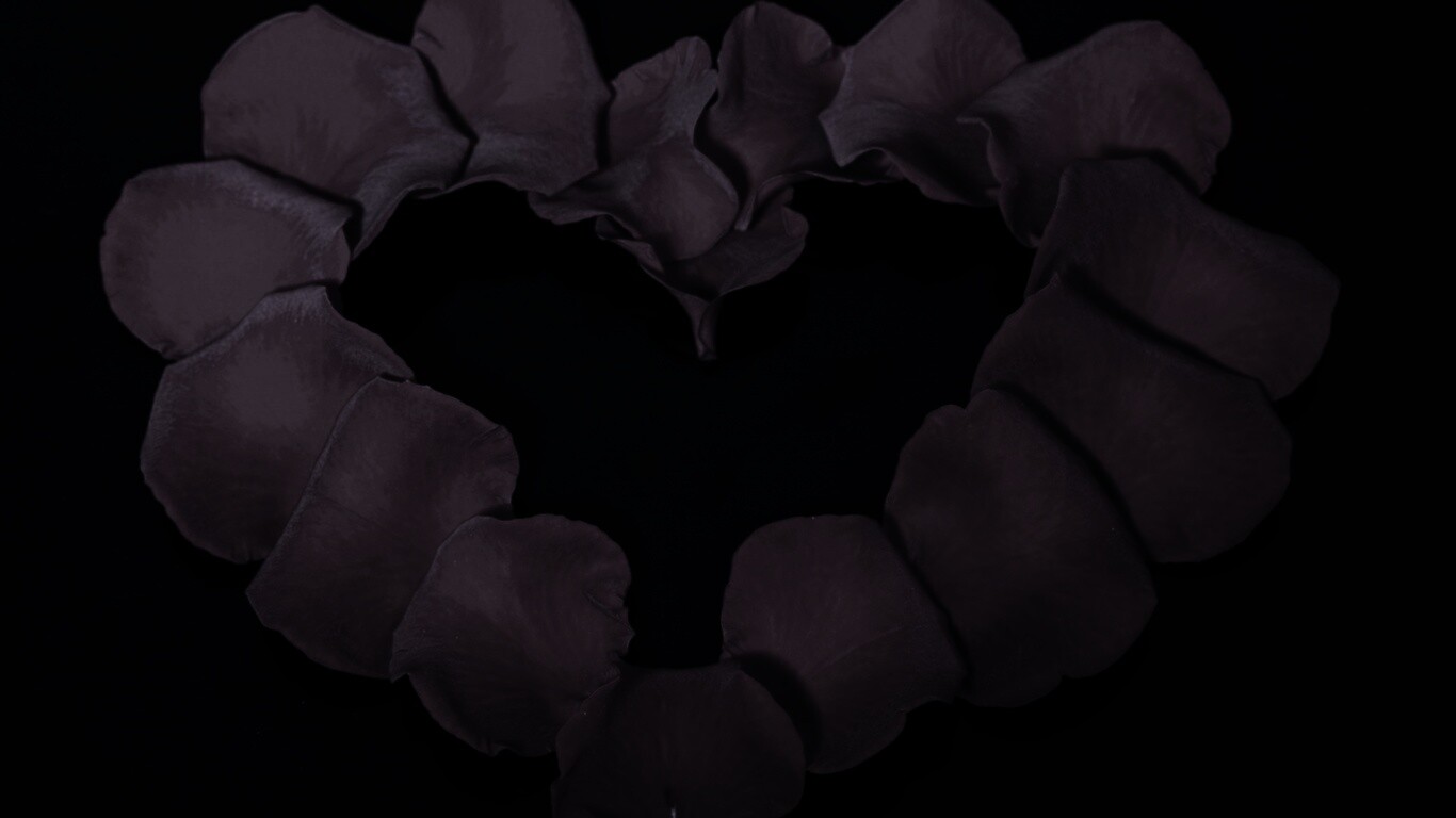 Красивое сердце обои