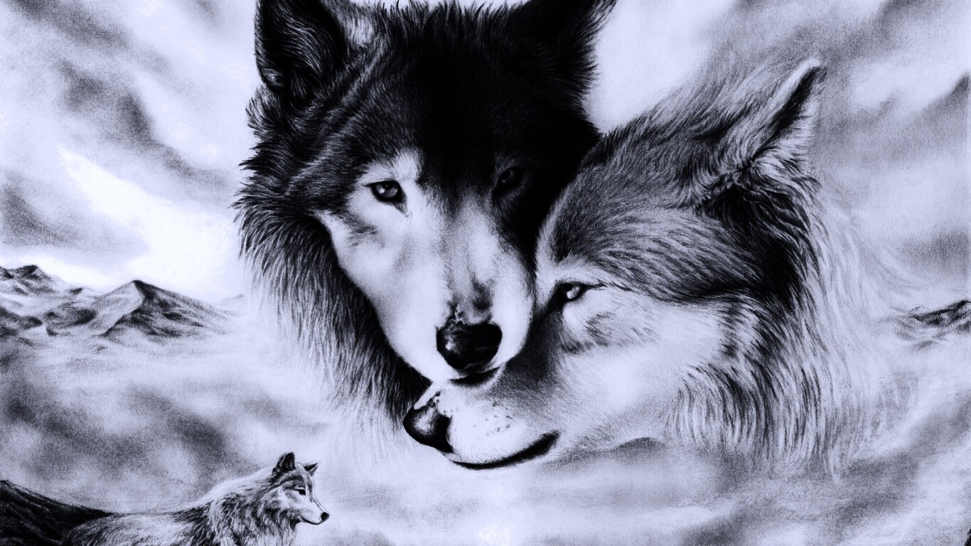 Волки обои